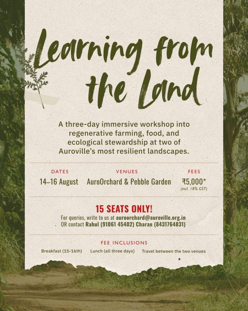 Learning from the Land | A Three-Day Workshop