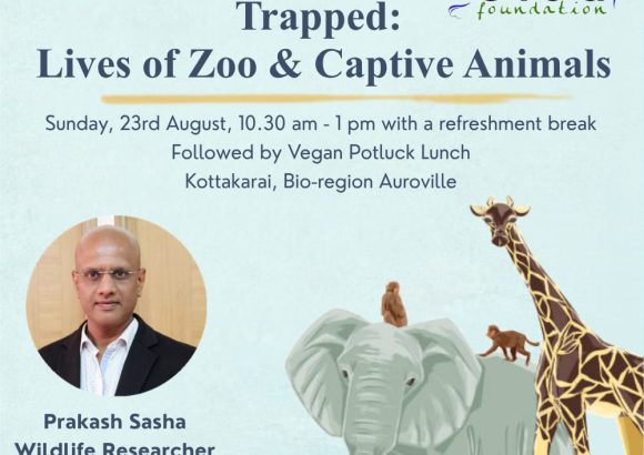 Trapped: Lives of Zoo & Captivate Animals
